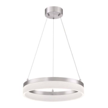Westinghouse 65755 - Regulowany żyrandol LED na linkach LUCY LED/25W/230V