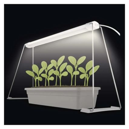 Wewnętrzna lampa LED do uprawy roślin GROW LED/15W/230V