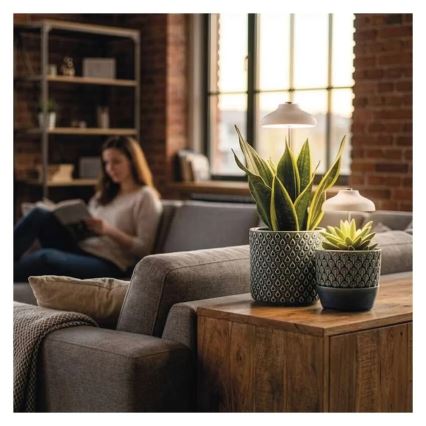 Wewnętrzna lampa LED do uprawy roślin GROW LED/5W/5V