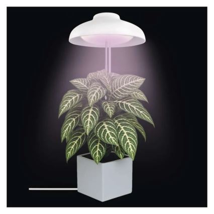 Wewnętrzna lampa LED do uprawy roślin GROW LED/5W/5V