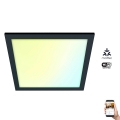 WiZ - LED Ściemnialny plafon SUPERSLIM LED/12W/230V 2700-6500K Wi-Fi czarny