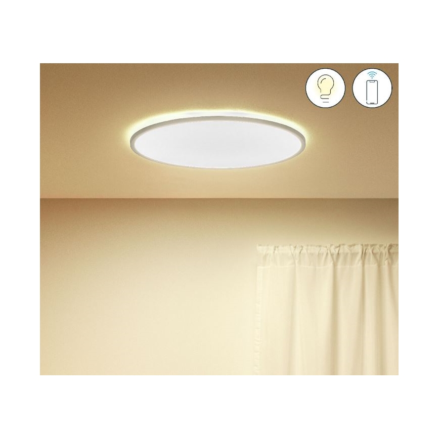 WiZ - LED Ściemnialny plafon SUPERSLIM LED/32W/230V 2700-6500K Wi-Fi biały