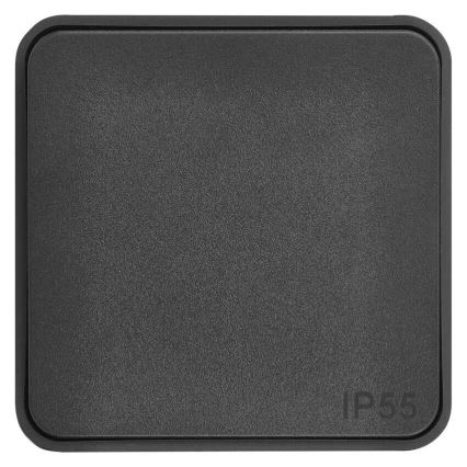 Włącznik domowy 250V/10A IP55