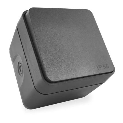 Włącznik domowy 250V/10A IP55