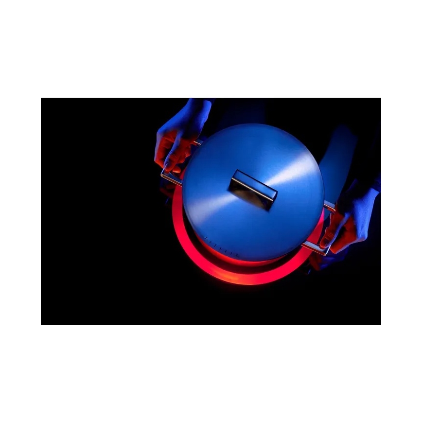 WMF - Garnek ULTIMATE COOL Ø 20 cm