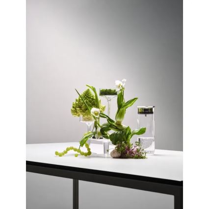 WMF - Karafka na wodę MOTION 800 ml