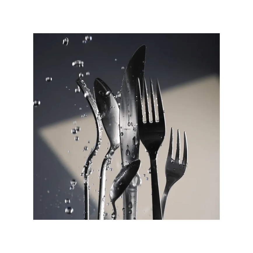 WMF - Zestaw sztućców MERIT CROMARGAN PROTECT® 66 szt.