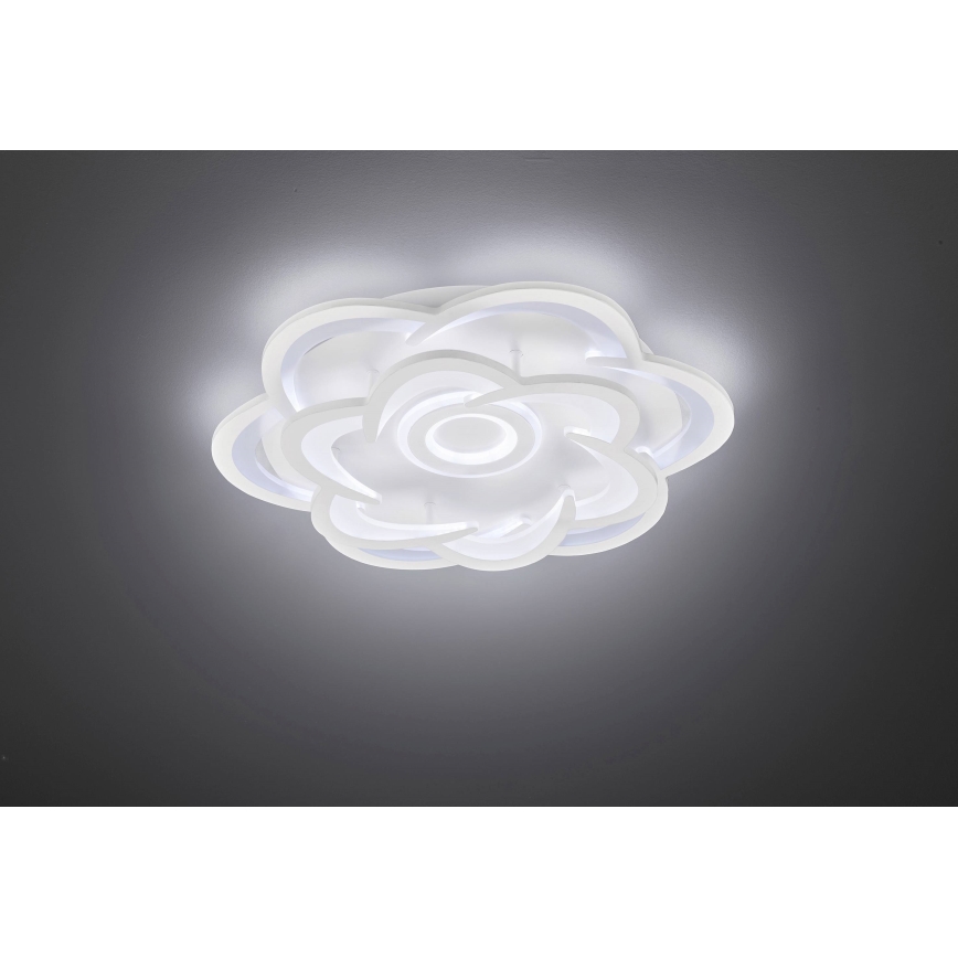 Wofi 11209 - LED Plafon ściemnialny ICA LED/47W/230V 2700-5500K + pilot