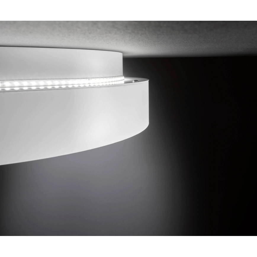 Wofi 11219 - LED Ściemnialny plafon SHAY LED/37W/230V