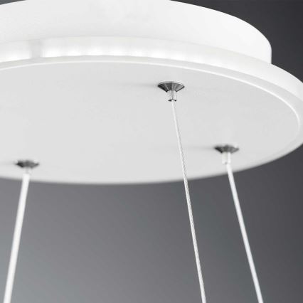 Wofi 11501FW - LED Ściemnialny zyrandol na lince SHAY LED/39W/230V 3000K biały