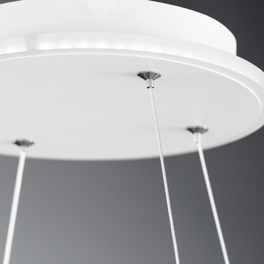 Wofi 11501FW - LED Ściemnialny zyrandol na lince SHAY LED/39W/230V 3000K biały