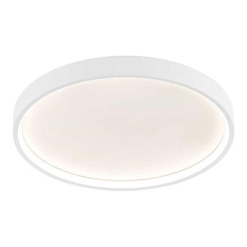 Wofi 12055 - LED regulowane oświetlenie sufitowe DUBAI LED/27,5W/230V białe