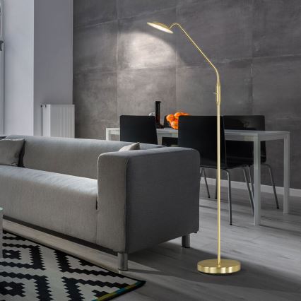 Wofi 3446.01.32.7000 - LED Ściemnialna lampa podłogowa ORTA LED/12W/230V mosiądz