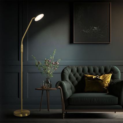 Wofi 3446.01.32.7000 - LED Ściemnialna lampa podłogowa ORTA LED/12W/230V mosiądz