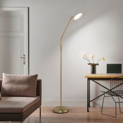 Wofi 3446.01.32.7000 - LED Ściemnialna lampa podłogowa ORTA LED/12W/230V mosiądz