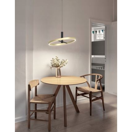 Wofi 6016-104L - LED ściemnialna lampa wisząca na linkach BREST LED/19W/230V Ø 42 cm czarna/złota
