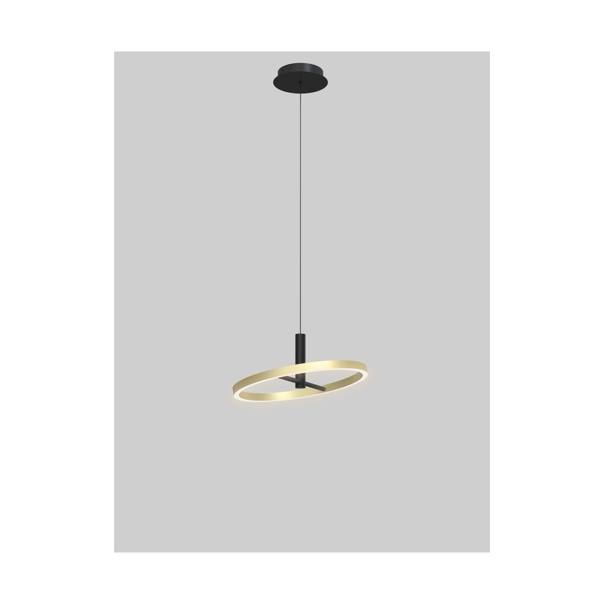 Wofi 6016-104L - LED ściemnialna lampa wisząca na linkach BREST LED/19W/230V Ø 42 cm czarna/złota