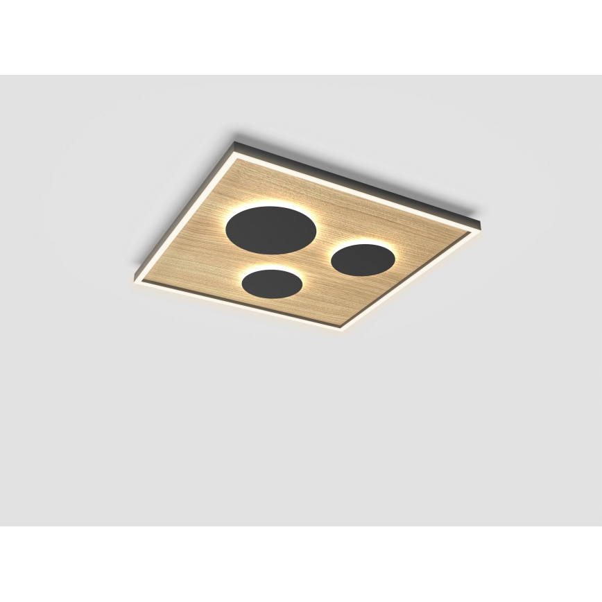 Wofi 9012-306L - LED Plafon ściemnialny DIJON LED/40W/230V