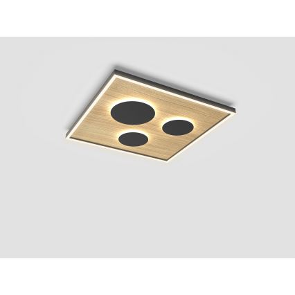 Wofi 9012-306L - LED Regulowane oświetlenie sufitowe DIJON LED/40W/230V