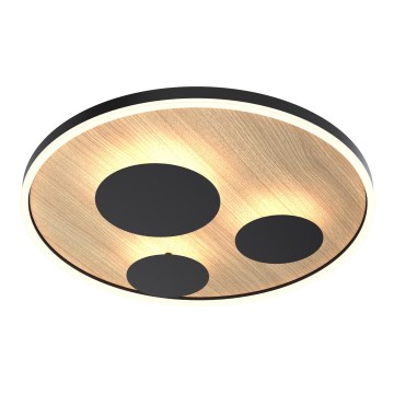 Wofi 9013-306L - LED Regulowane natynkowe oświetlenie sufitowe REIMS LED/40W/230V