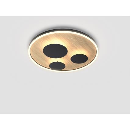 Wofi 9013-306L - LED Regulowane natynkowe oświetlenie sufitowe REIMS LED/40W/230V