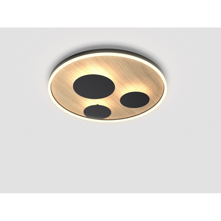 Wofi 9013-306L - LED Regulowane natynkowe oświetlenie sufitowe REIMS LED/40W/230V