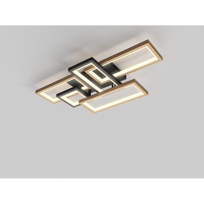 Wofi 9022-506 - LED ściemnialna oprawa sufitowa MATERA LED/60W/230V