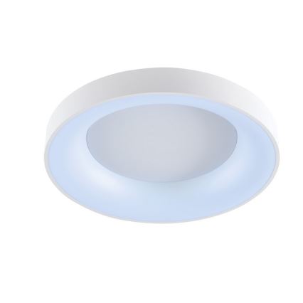 Wofi 9417.01.06.8780 - LED Plafon ściemnialny CAMERON 1xLED/62W/230V