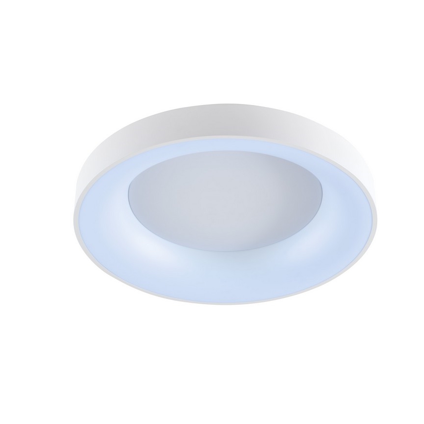 Wofi 9417.01.06.8780 - LED Plafon ściemnialny CAMERON 1xLED/62W/230V