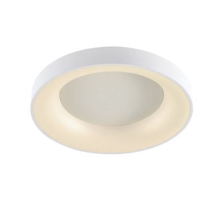 Wofi 9417.01.06.8780 - LED Plafon ściemnialny CAMERON 1xLED/62W/230V