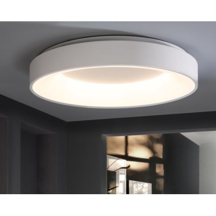 Wofi 9417.01.06.8780 - LED Plafon ściemnialny CAMERON 1xLED/62W/230V