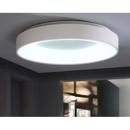 Wofi 9417.01.06.8780 - LED Plafon ściemnialny CAMERON 1xLED/62W/230V