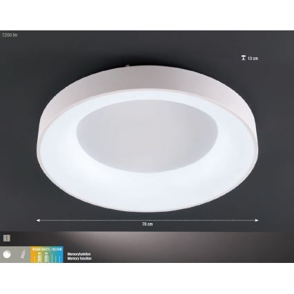 Wofi 9417.01.06.8780 - LED Plafon ściemnialny CAMERON 1xLED/62W/230V