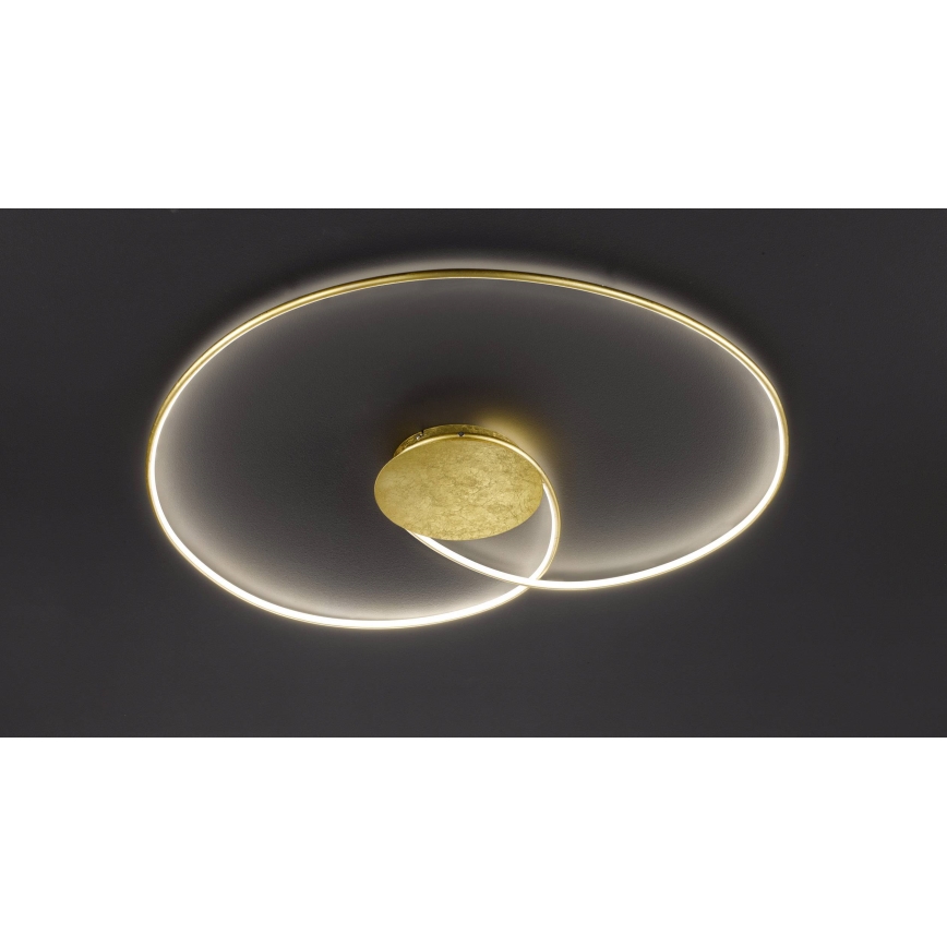 Wofi - LED Plafon OPUS LED/32W/230V