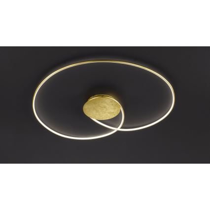 Wofi - LED Plafon OPUS LED/32W/230V