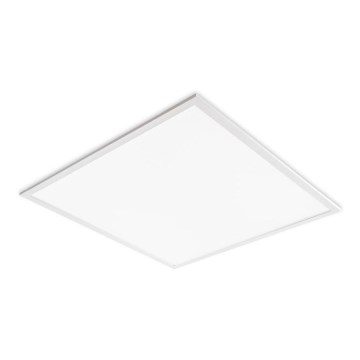 Wpuszczany panel sufitowy LED DAVRO LED/40W/230V 4000K 59,5x59,5 cm biały