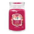 Yankee Candle - Świeca zapachowa SANTA ON SKIS, duża, 567 g, 60–90 godz.