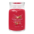 Yankee Candle - Świeca zapachowa SPARKLING CINNAMON duża 567g 60-90 godz.