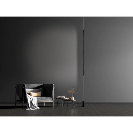 Zambelis 20184 - Lampa stojąca LED/22W/230V