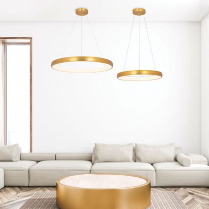 Zambelis 2054 - LED Żyrandol ściemnialny na lince LED/50W/230V śr. 60 cm złoty