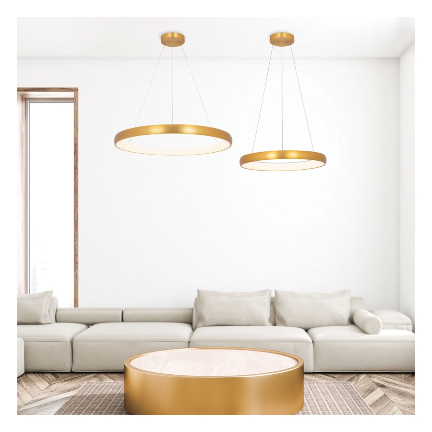 Zambelis 2054 - LED Żyrandol ściemnialny na lince LED/50W/230V śr. 60 cm złoty