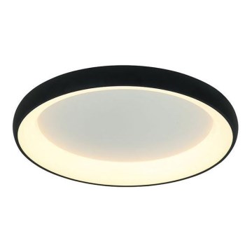 Zambelis 2056 - LED Plafon ściemnialny LED/60W/230V śr. 80 cm czarne