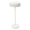 Zambelis E290 - LED regulowane światło zewnętrzne LED/2,2W/3,7V 2200 mAh IP54 białe