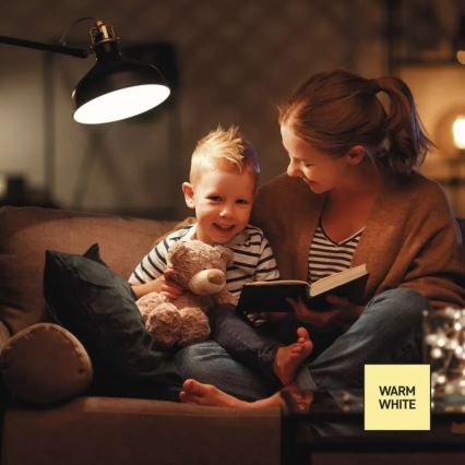 Żarówka LED ściemnialna A60 E27/10,5W/230V 2700K