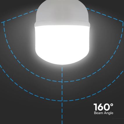Żarówka LED T100 E27/30W/230V 6500K