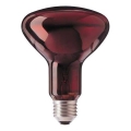 Żarówka na podczerwień HELIOS R95 E27/100W/230V