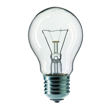 Żarówka przemysłowa E27/60W/230V 2200K