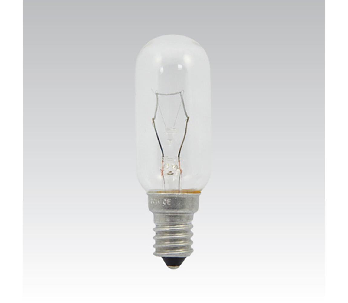 Żarówka przemysłowa CLEAR RESISTA 1xE14/40W/230V
