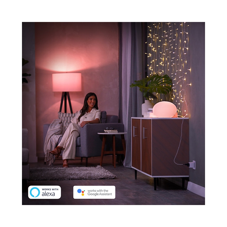 Zestaw 2 szt. inteligentnych wtyczek Philips Hue (Smart Plug)