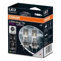 ZESTAW 2x LED Żarówka samochodowa EASY GEN H7 PX26d/16W/12V 6500K - Osram
